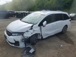 5FNRL6H6XTB030526 2026 HONDA ODYSSEY