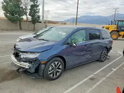5FNRL6H6XTB031028 2026 HONDA ODYSSEY