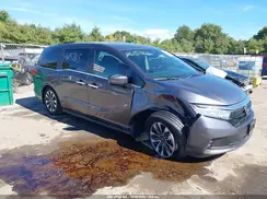 5FNRL6H70MB013132 2021 HONDA ODYSSEY