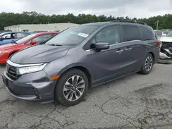 5FNRL6H70MB034031 2021 HONDA ODYSSEY