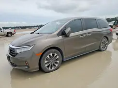 5FNRL6H70NB008269 2022 HONDA ODYSSEY