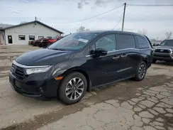 5FNRL6H70NB031177 2022 HONDA ODYSSEY