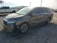 5FNRL6H70NB041370 2022 HONDA ODYSSEY