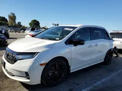 5FNRL6H70PB035393 2023 HONDA ODYSSEY