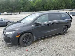 5FNRL6H70PB079118 2023 HONDA ODYSSEY