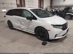 5FNRL6H70PB079975 2023 HONDA ODYSSEY