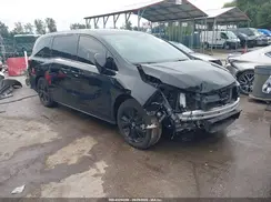 5FNRL6H70RB004552 2024 HONDA ODYSSEY
