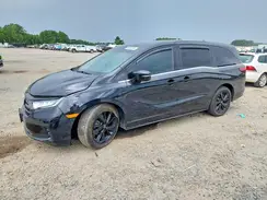 5FNRL6H70RB004602 2024 HONDA ODYSSEY