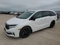 5FNRL6H70RB022727 2024 HONDA ODYSSEY