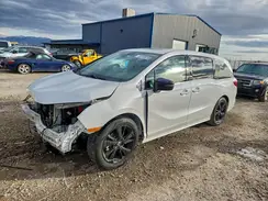 5FNRL6H70RB031010 2024 HONDA ODYSSEY