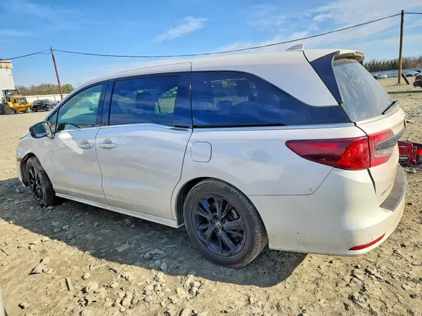 5FNRL6H70RB064248 2024 HONDA ODYSSEY - Image 2