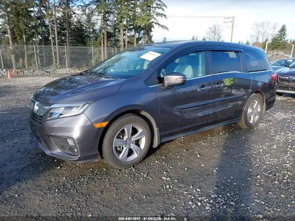 5FNRL6H71KB117092 2019 HONDA ODYSSEY - Image 2