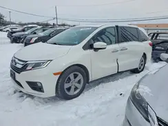 5FNRL6H71LB016796 2020 HONDA ODYSSEY