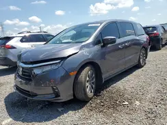 5FNRL6H71MB037634 2021 HONDA ODYSSEY
