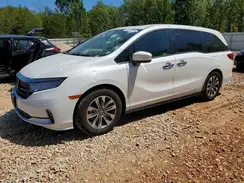 5FNRL6H71MB041277 2021 HONDA ODYSSEY