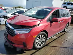 5FNRL6H71NB005557 2022 HONDA ODYSSEY