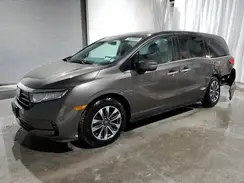 5FNRL6H71NB008541 2022 HONDA ODYSSEY