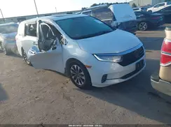 5FNRL6H71NB013111 2022 HONDA ODYSSEY