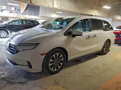 5FNRL6H71NB033648 2022 HONDA ODYSSEY