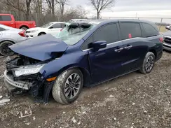 5FNRL6H71NB035657 2022 HONDA ODYSSEY