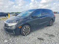 5FNRL6H71NB036954 2022 HONDA ODYSSEY