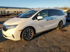 5FNRL6H71NB043564 2022 HONDA ODYSSEY