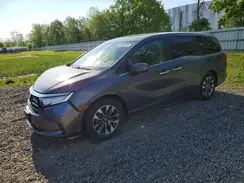 5FNRL6H71NB053205 2022 HONDA ODYSSEY