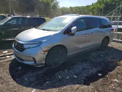 5FNRL6H71NB059845 2022 HONDA ODYSSEY