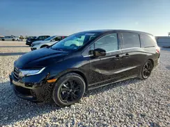 5FNRL6H71PB027738 2023 HONDA ODYSSEY