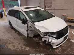 5FNRL6H71PB033989 2023 HONDA ODYSSEY