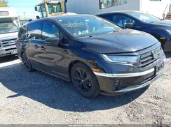 5FNRL6H71PB039484 2023 HONDA ODYSSEY
