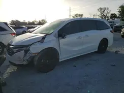 5FNRL6H71RB069040 2024 HONDA ODYSSEY