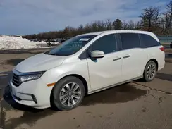 5FNRL6H72MB015237 2021 HONDA ODYSSEY