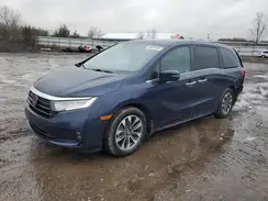 5FNRL6H72MB028568 2021 HONDA ODYSSEY