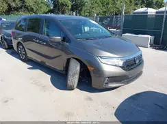 5FNRL6H72MB033477 2021 HONDA ODYSSEY