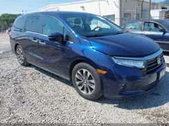 5FNRL6H72MB043037 2021 HONDA ODYSSEY