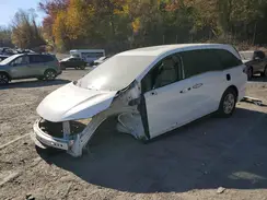 5FNRL6H72MB045161 2021 HONDA ODYSSEY