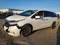 5FNRL6H72NB013070 2022 HONDA ODYSSEY