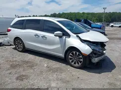 5FNRL6H72NB045632 2022 HONDA ODYSSEY