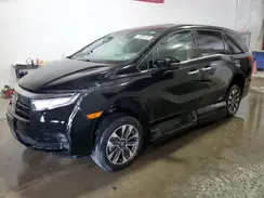 5FNRL6H72NB062284 2022 HONDA ODYSSEY