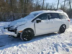 5FNRL6H72RB014287 2024 HONDA ODYSSEY