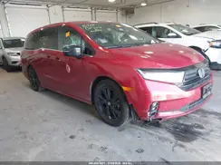 5FNRL6H72RB017920 2024 HONDA ODYSSEY