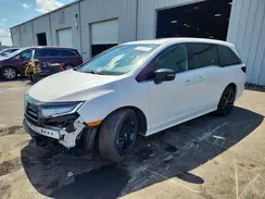 5FNRL6H72RB067278 2024 HONDA ODYSSEY
