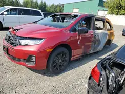 5FNRL6H72SB058036 2025 HONDA ODYSSEY