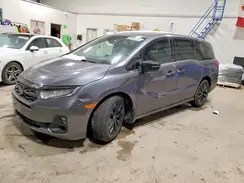 5FNRL6H72SB503679 2025 HONDA ODYSSEY