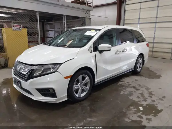 5FNRL6H73KB080255 2019 HONDA ODYSSEY - Image 2