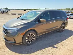5FNRL6H73NB013319 2022 HONDA ODYSSEY