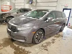 5FNRL6H73NB034073 2022 HONDA ODYSSEY