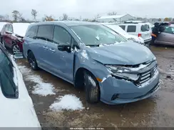 5FNRL6H73RB003492 2024 HONDA ODYSSEY
