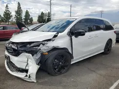 5FNRL6H73RB039392 2024 HONDA ODYSSEY